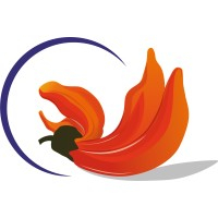 Design Fresher