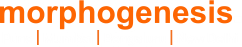 Design Fresher