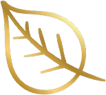 Design Fresher