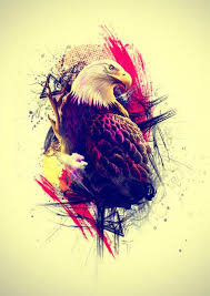 Design Fresher